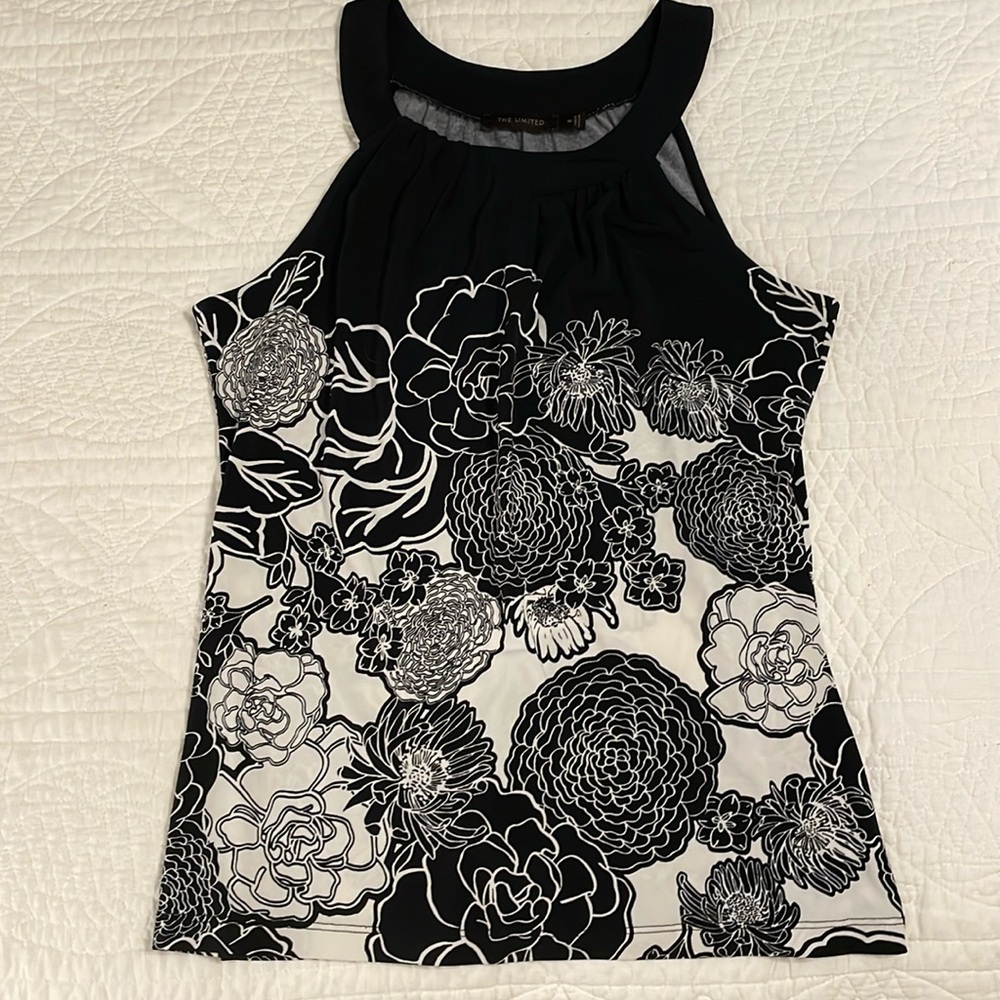 The Limited blouse